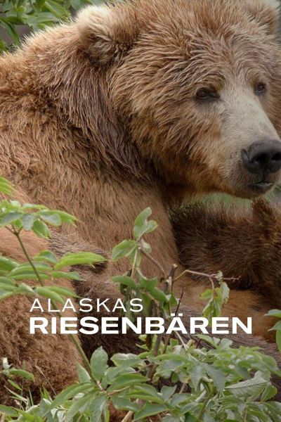 Alaska's Giant Bears (2023)
