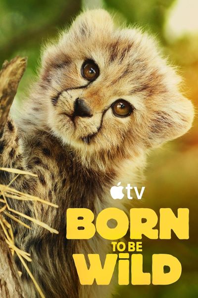 Born to be Wild (2025) 2025