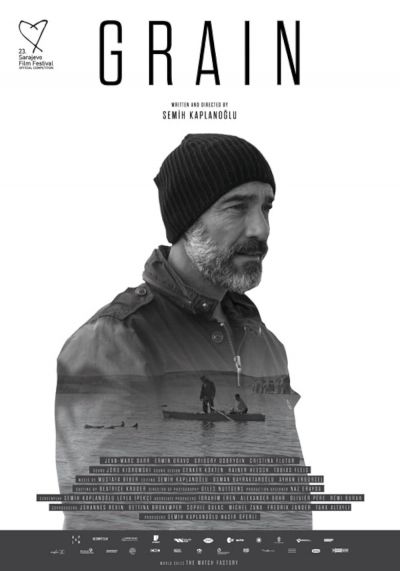 Buğday (2017)