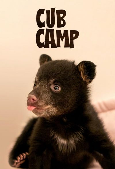 Cub Camp (2025)