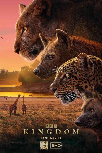 Kingdom (2025) 2025