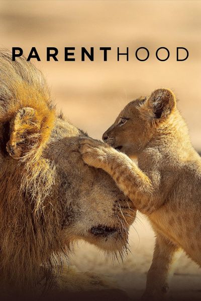 Parenthood (2025) 2025