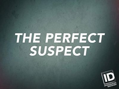 The Perfect Suspect (2017)